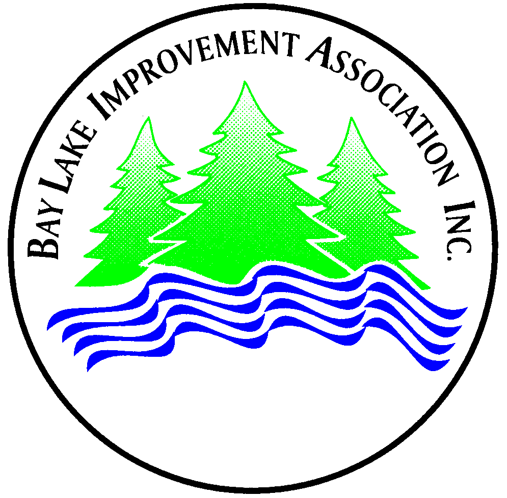 BLIA LOGO